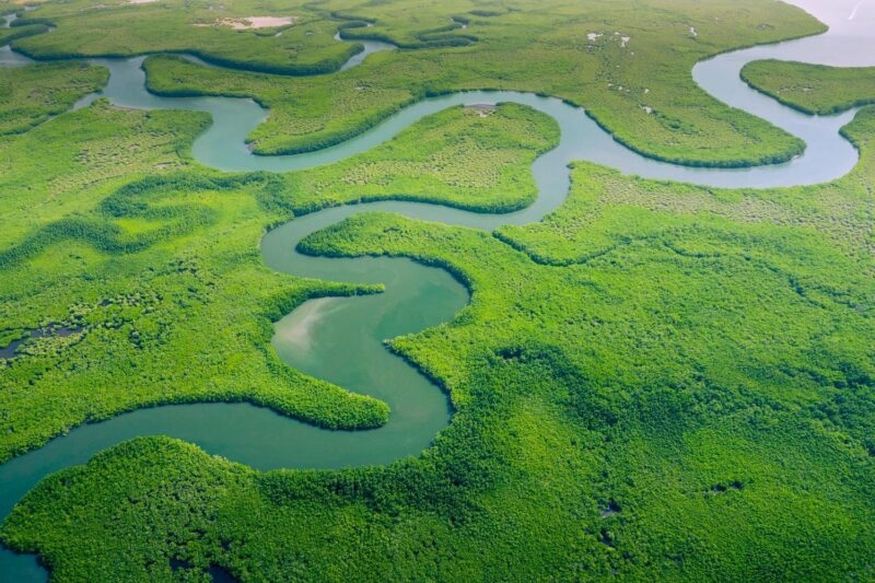 aerial view of the Amazon river winding through the rainforest