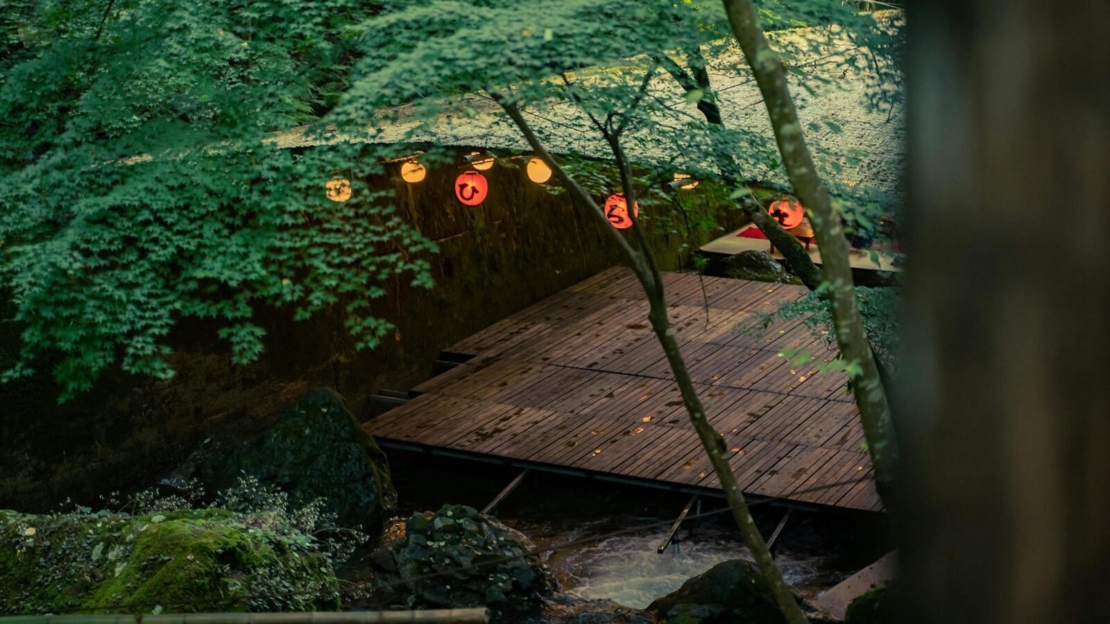 Bamboo forest Japan wellness