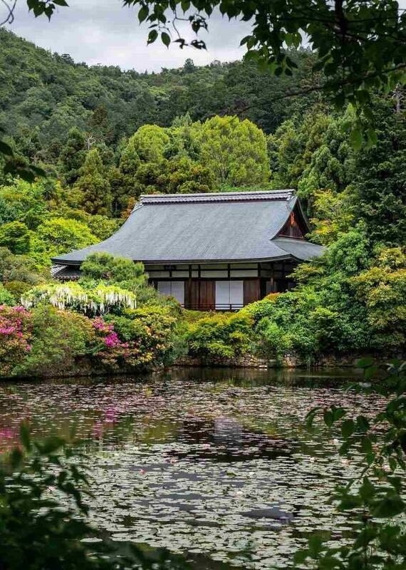 The Temple of the Dragon. Ryoan-ji. Lake and trees.