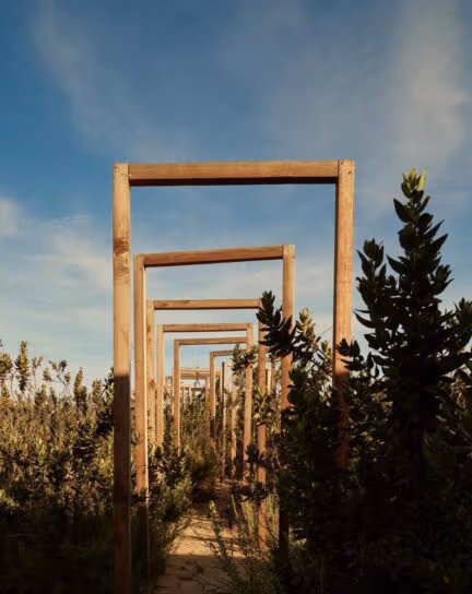 The Best Wellness Retreats in Mexico