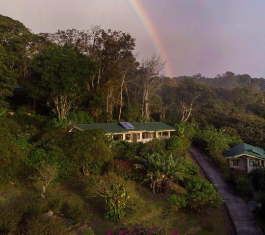 Aerial of Senda Monteverde Hotel which is tucked among trees.