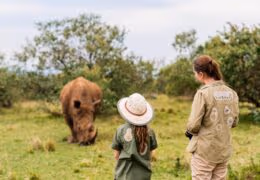 South Africa Family Safari Explorer