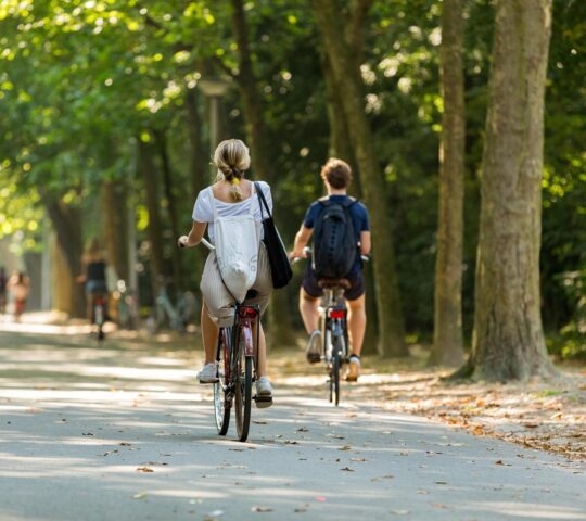 A man and a woman riding bicycles in a leafy park.