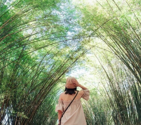 woman wearing hat standing in bamboo forest at countryside