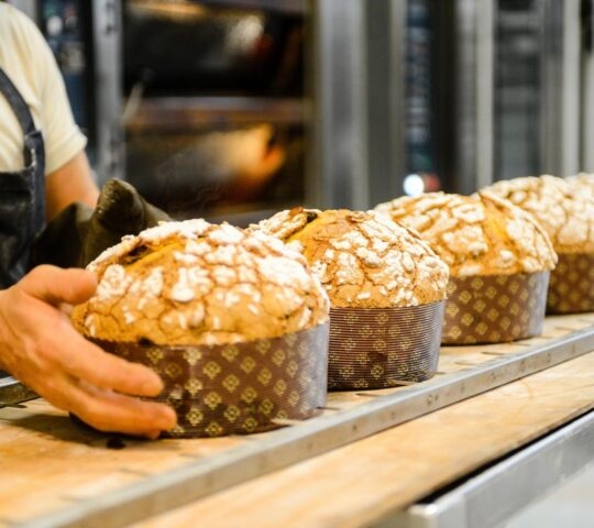Panettone arranged in a row in Milan.