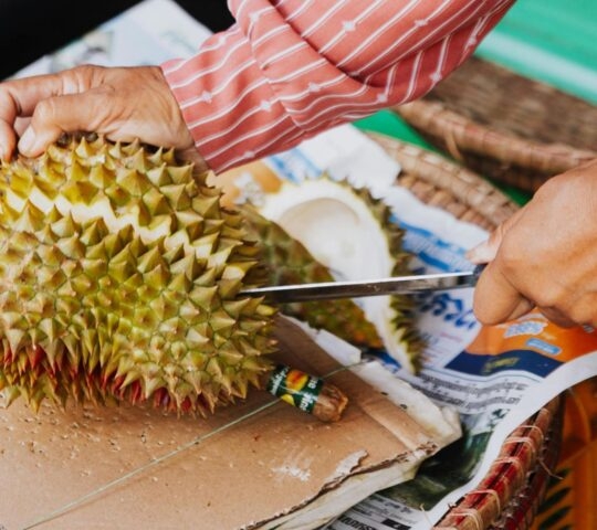 Duran Thailand fruit market