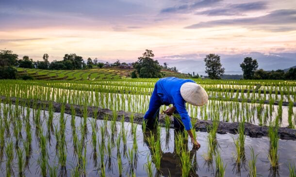 The Ultimate Luxury Adventure in Thailand