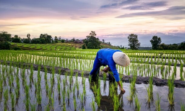 The Ultimate Luxury Adventure in Thailand