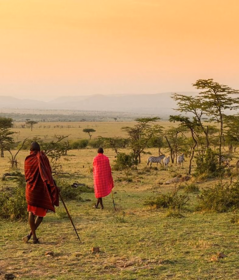 Guided bush walk in the Mara conservancies with local Maasai