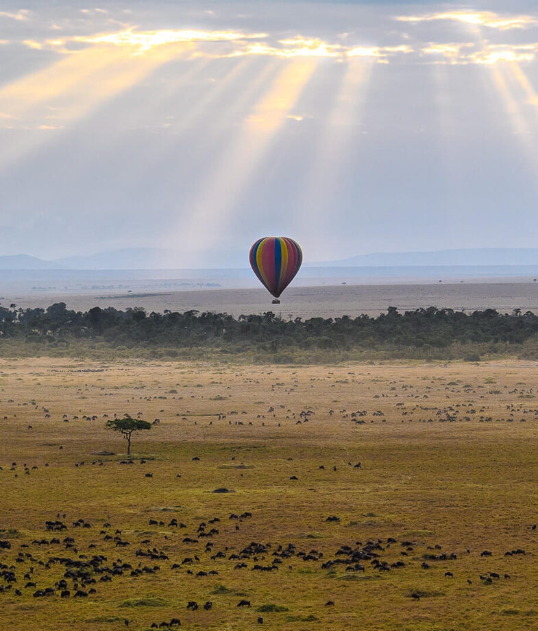 Track elephants on a walking safari in Serengeti National Park, or drift silently in a hot air balloon above the Maasai Mara watching wildlife move across the plains below.