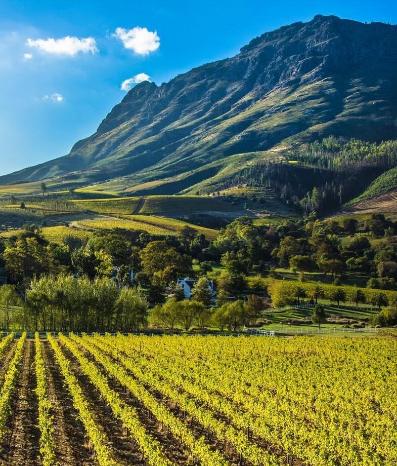 Travel along Africa’s coastline aboard Rovos Rail, and unwind with an evening wine tasting in a vineyard set at the foot of the mountains in South Africa.
