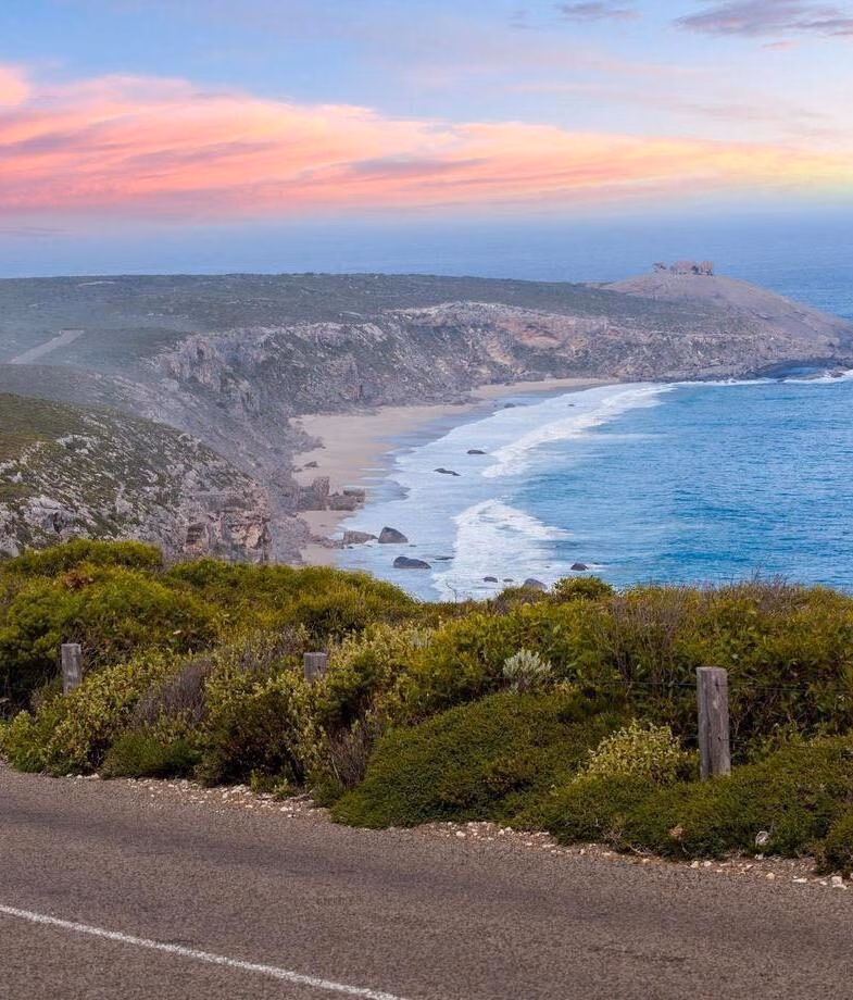A vibrant green tree frog resting on a leaf in the Daintree Rainforest and a wide sunset view across Kangaroo Island overlooking the Southern Ocean.
