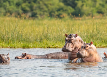 Uganda thumbnail