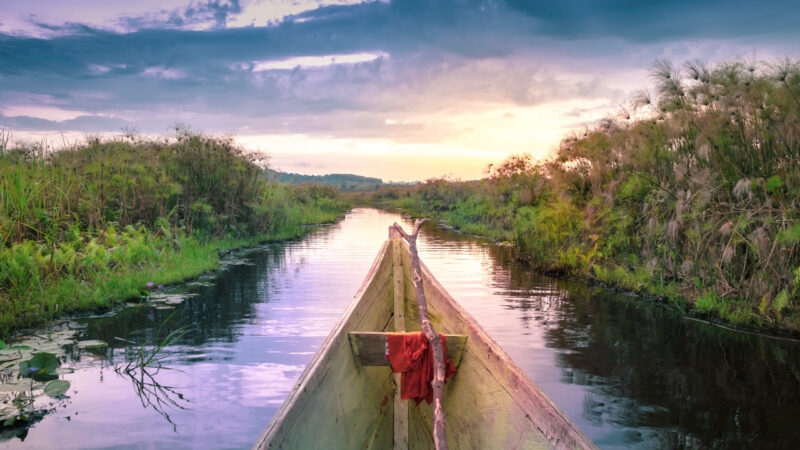 Point-of-view shot from a wooden canoe on a calm waterway surrounded by tall swamp grass at sunset.