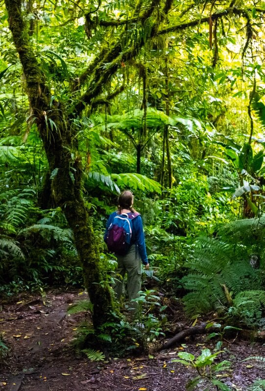 Girl hiker looks in awe at the verdant landscape of Costa Rica's Central Cloud Forests.