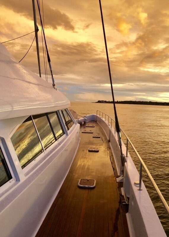 Sunset view from a boat deck over the ocean with golden clouds on the left and dark blue sky on the right.