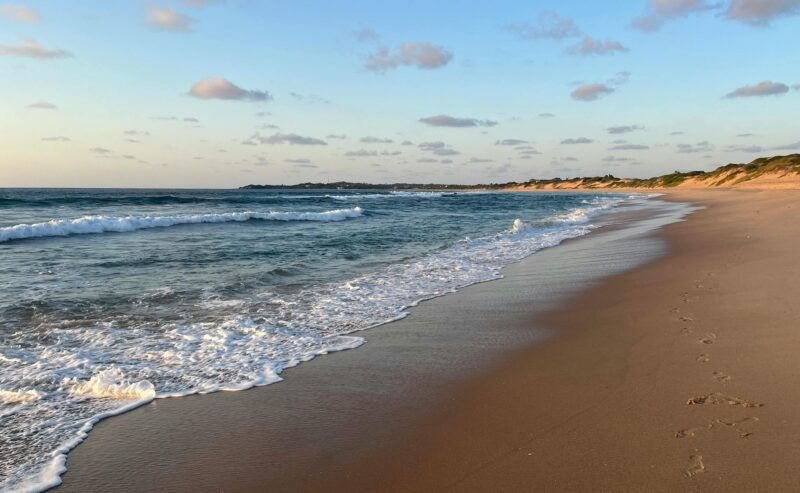 Footprints on a sandy beach leading toward a rolling surf under a pale blue sky with light clouds.