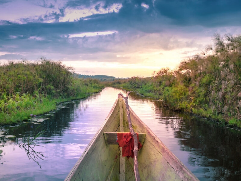 Point of view from a wooden dugout canoe navigating a narrow channel in a lush green swamp under a sunset sky.