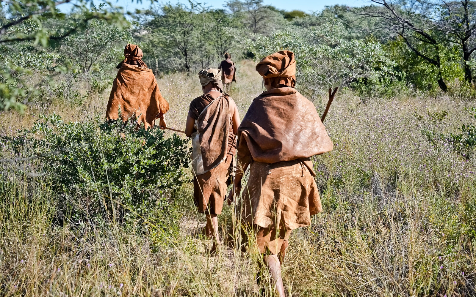 San trackers leading the way through the bush, showing you how they read the landscape step by step.