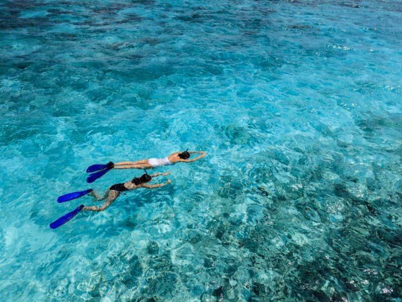 Overhead view of two people snorkeling in clear blue ocean water over a coral reef in Mozambique.
