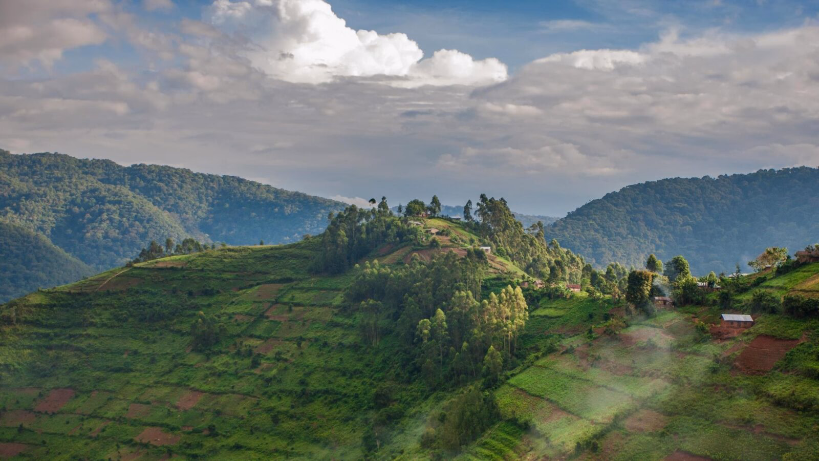 Lush green terraced hillsides with scattered trees and small houses under a cloudy blue sky in Bwindi Impenetrable Forest.
