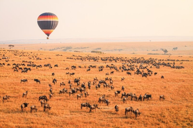 A hot air balloon floating over the Maasai Mara with wildebeest below
