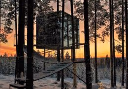 Treehotel