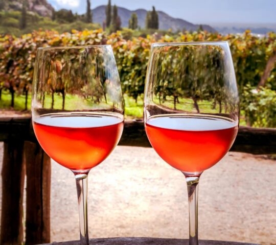 Two glasses of pink wine on a wooden ledge with a blurred vineyard and mountain landscape in the background.