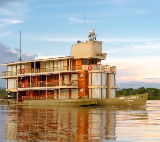 Side view of Delfin I luxury riverboat sailing on calm water with a forest background at sunset.