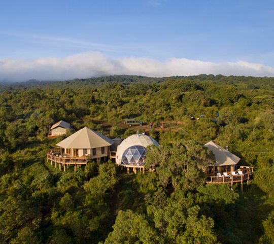 Aerial view of modern dome-shaped safari tents on raised wooden decks surrounded by dense green forest and low clouds.