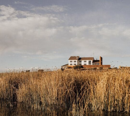 A modern white lodge situated behind a marsh of tall golden reeds on the edge of a calm lake under a cloudy blue sky.