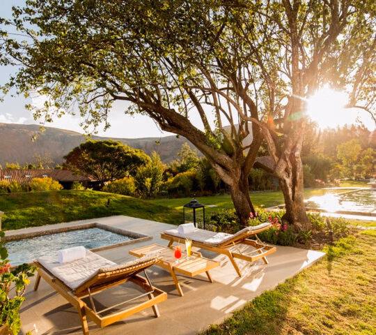 Two wooden lounge chairs and a small pool in a sunny garden with a large tree and mountains in the background.