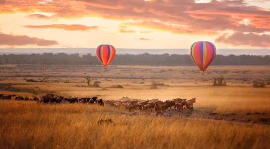 Float above the savannah by hot air balloon preview image