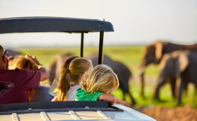 View of a family with children watching an elephant in the distance from a safari vehicle