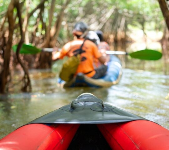 Point of view from a red kayak following another kayaker through a dense tunnel of mangrove trees over calm water.