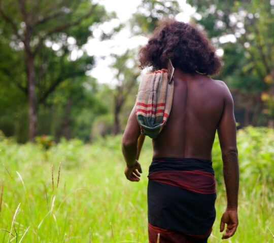 Back view of a shirtless man wearing a patterned sarong walking through a grassy field toward trees.