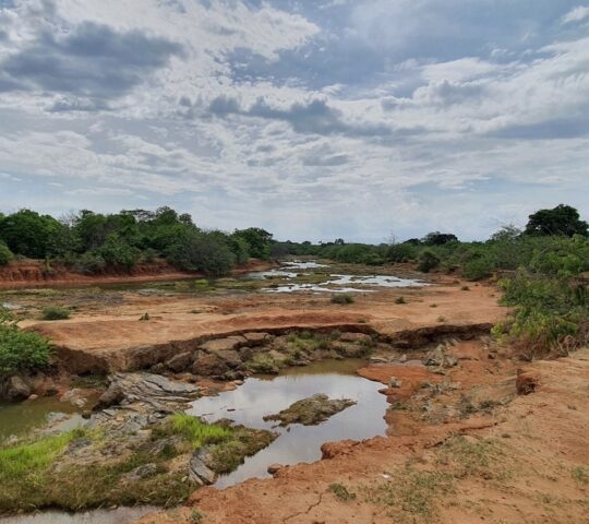 A rocky riverbed with small pools of water surrounded by red soil and green bushes under a vast sky.