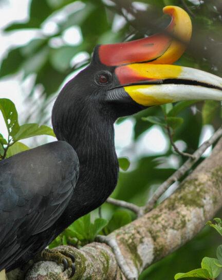 Guide to Safari Shoulder Seasons