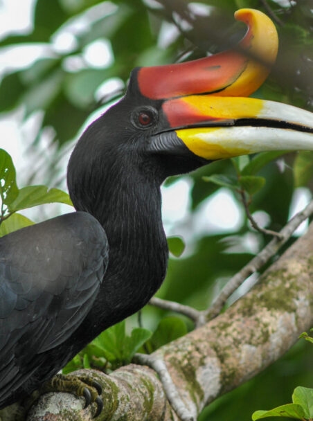 Guide to Safari Shoulder Seasons