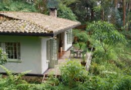 Wilderness Sabyinyo Silverback Lodge