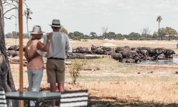 Wilderness Linkwasha Camp