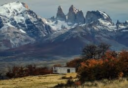 Awasi Patagonia