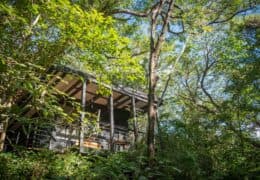 Rio Perdido Hotel and Thermal River