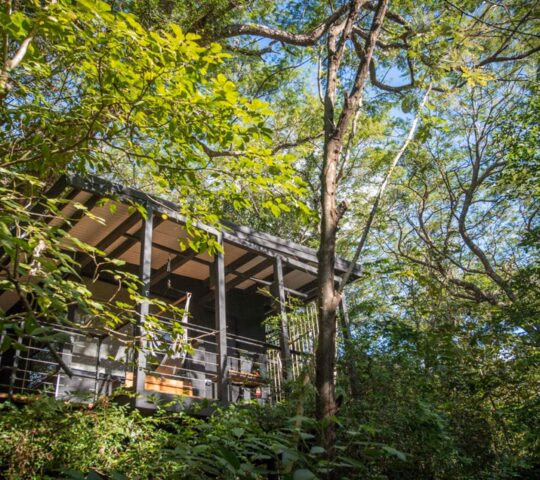 A wooden bungalow surrounded by trees in the rainforest in Costa Rica