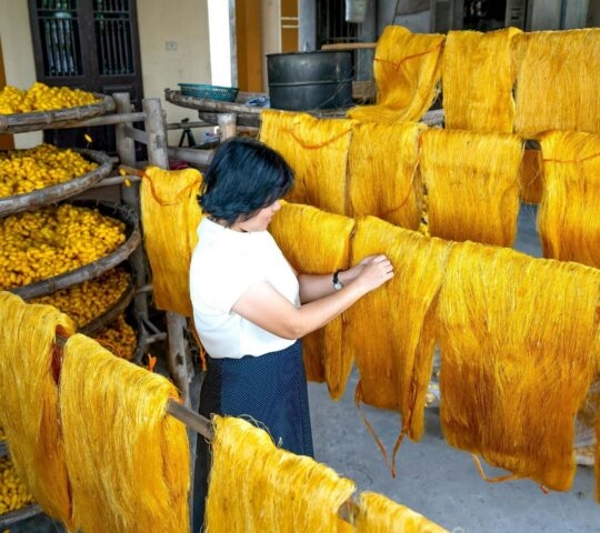 A woman in a purple shirt working with bright yellow silk threads in a traditional factory setting.