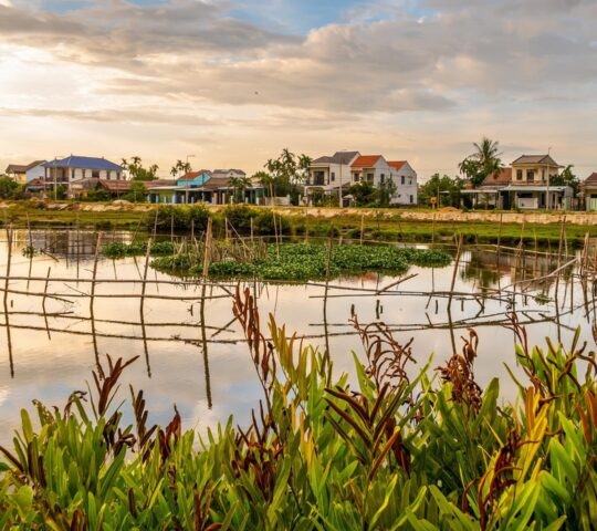A peaceful river scene with bamboo fences in the water and modern houses along the distant bank at sunset.