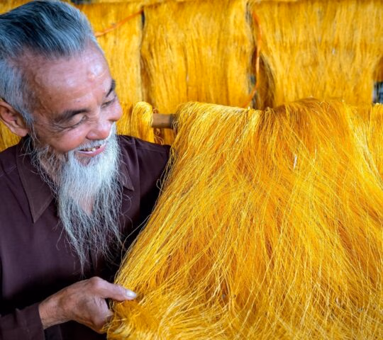 A smiling elderly man with a long white beard touching strands of vibrant yellow silk thread.