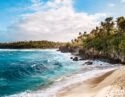 High-angle aerial perspective looking down at a vast, dense forest of tropical palm trees stretching along the coastline.