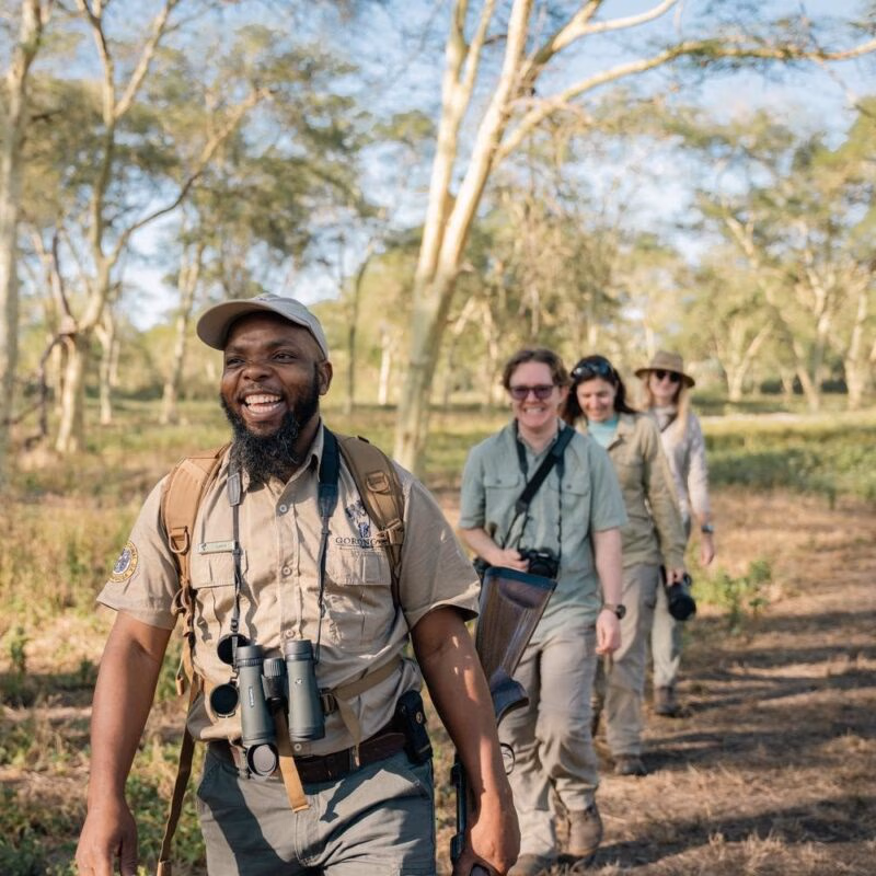 A smiling safari guide with binoculars leads three tourists on a guided walk in Gorongosa National Park.