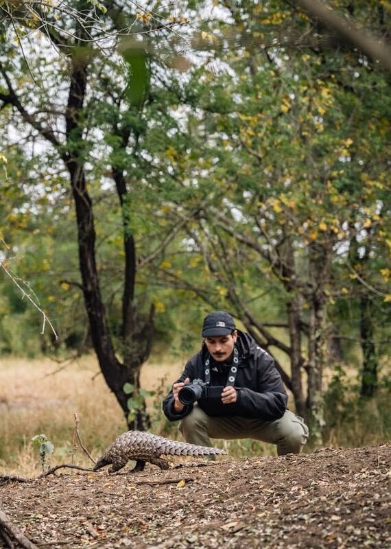 A man with a camera crouches behind a pangolin walking across a dirt mound in Gorongosa National Park.